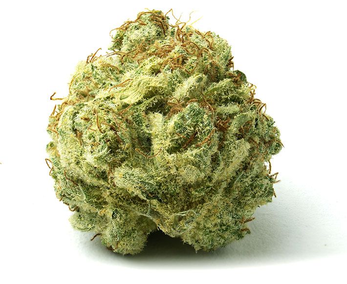 oshawa cannabis bud